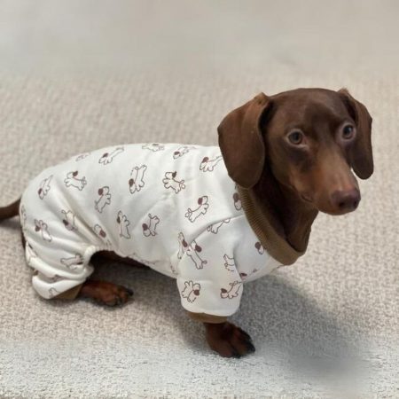 Dachshund Dog Apparel
