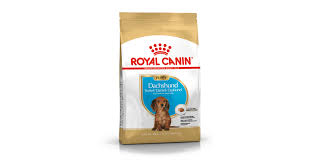 Dachshund Puppy Food